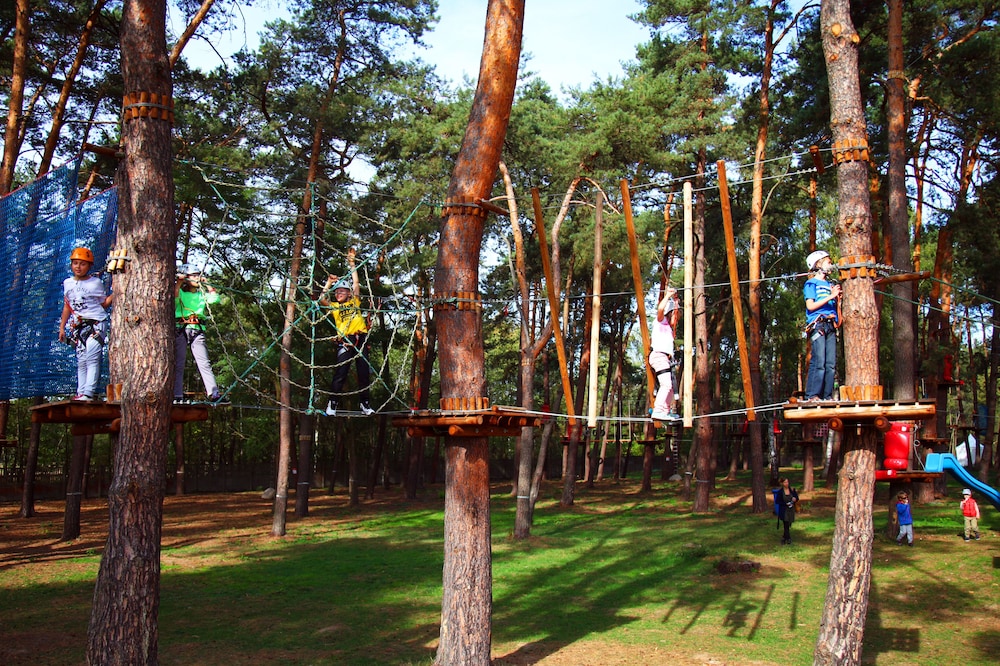 B&B Julinek Park 40/50