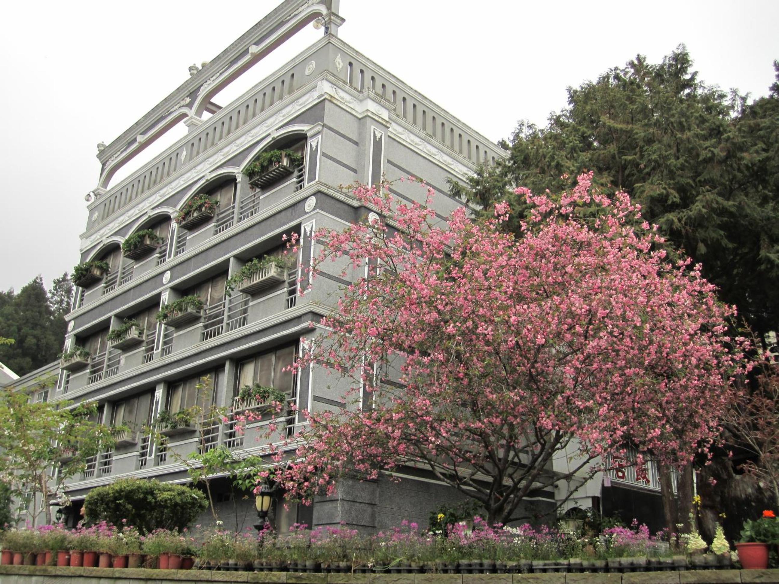 Ali-Shan Kaofeng Hotel 10/36