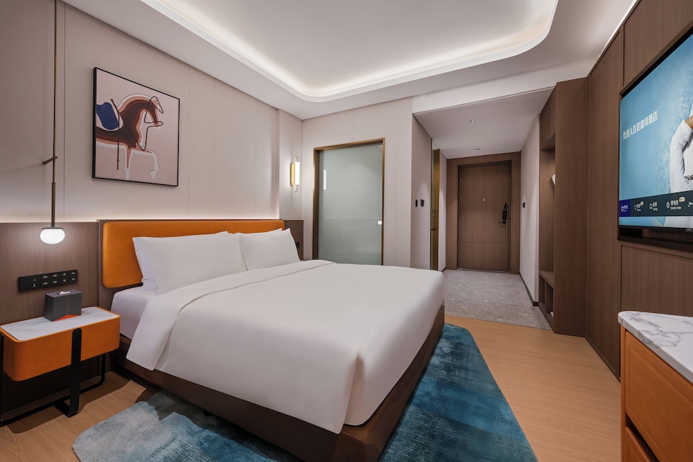 Novotel Hangzhou Xintiandi 18/50
