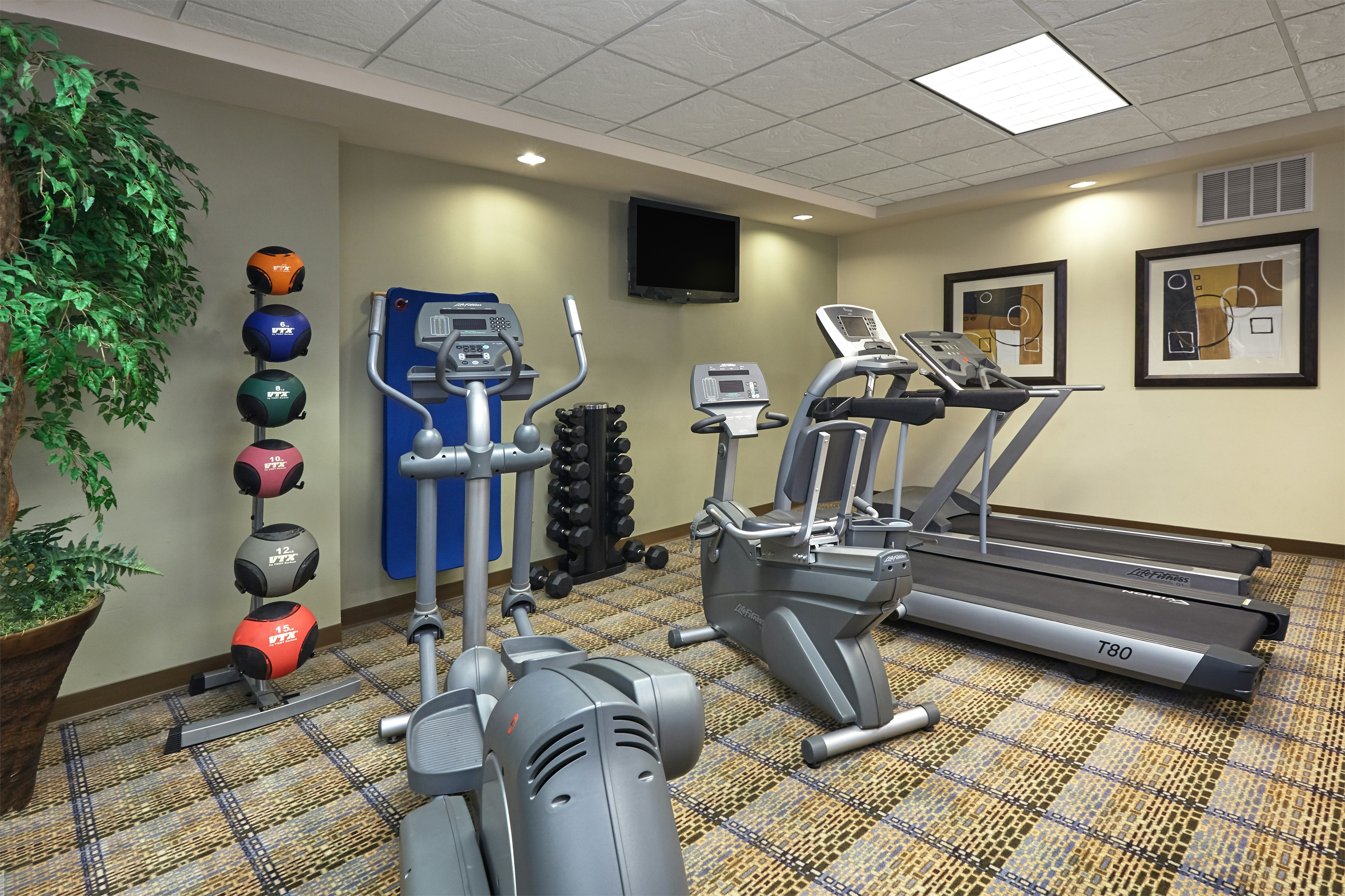 Holiday Inn Express Hotel And Suites Madison Verona 43/58