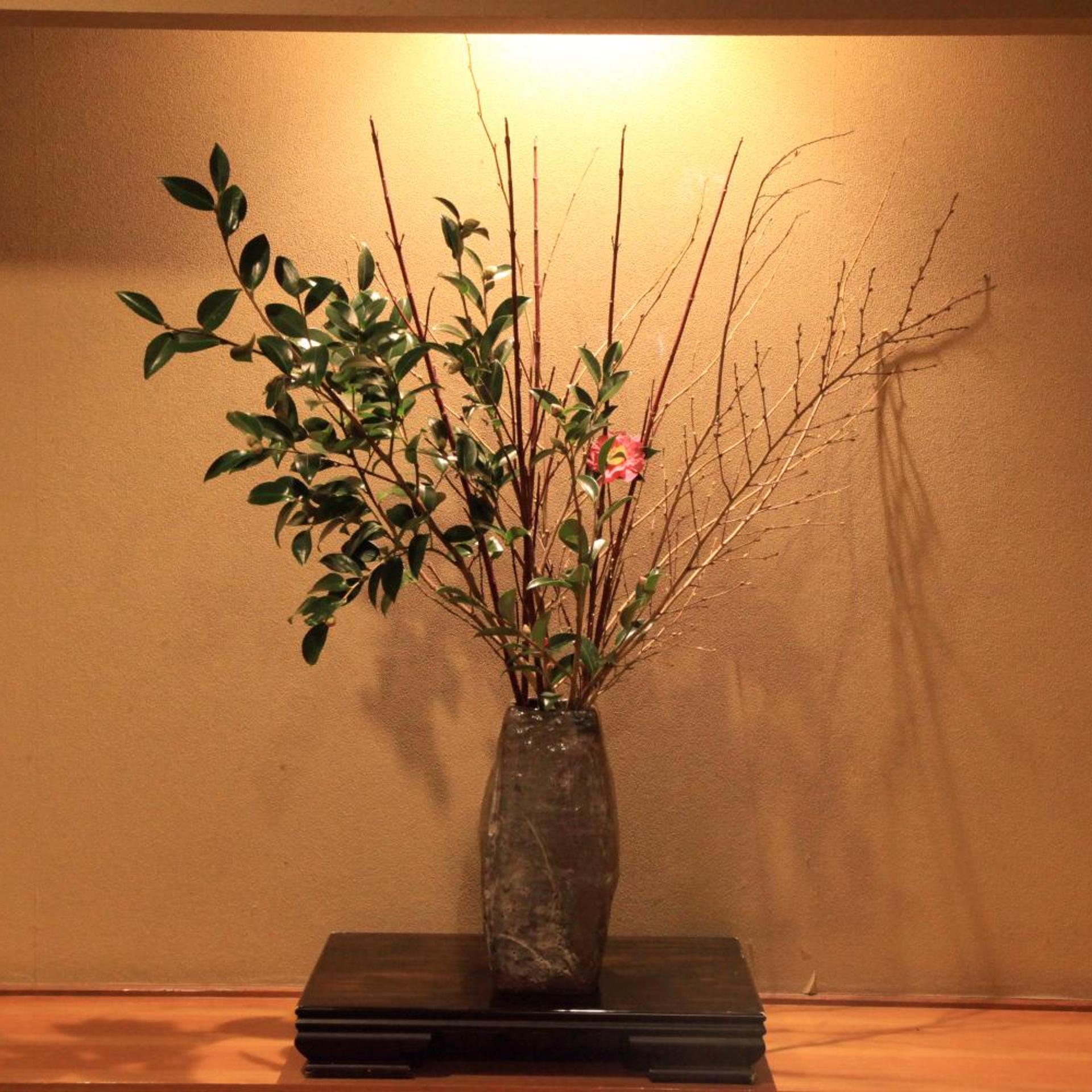 Hotel New Kotobuki 46/50