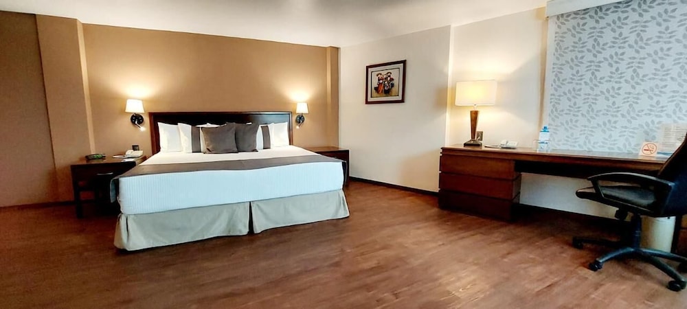 Hotel Mision Express Pachuca 15/36