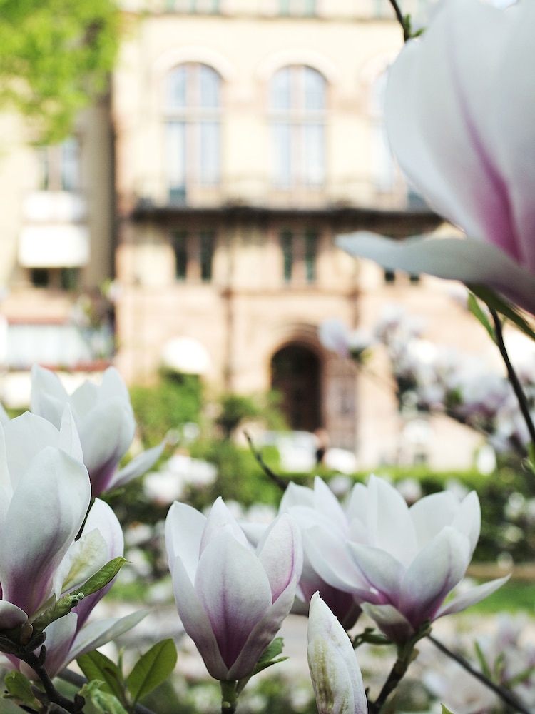Grand Hotel - Lund 50/54