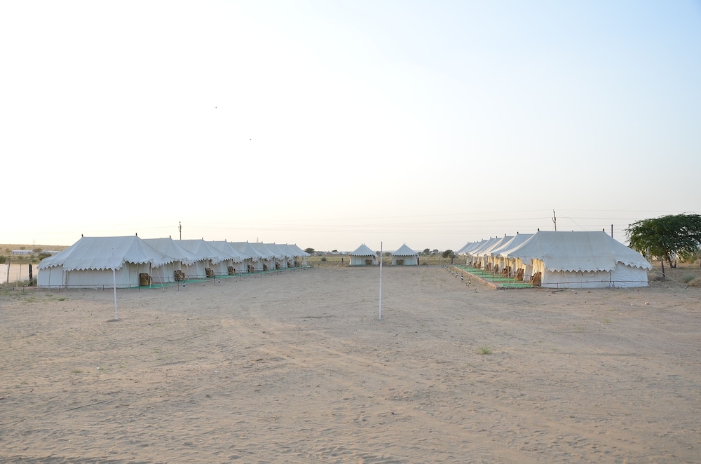 Dynasty Desert Camp 31/50