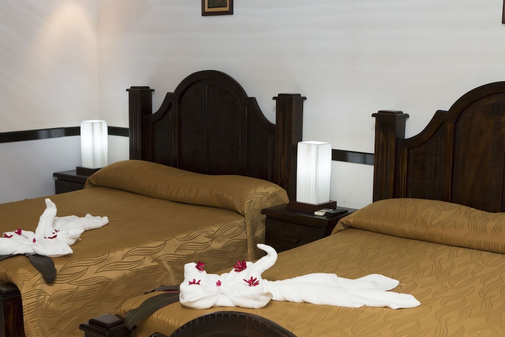 Ara Ambigua Lodge 38/50