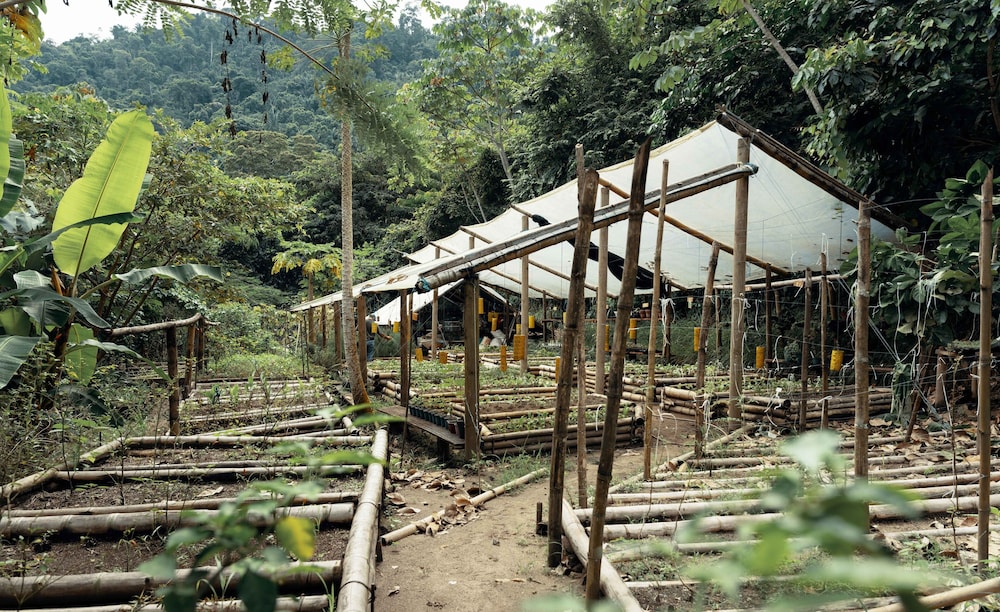 One Santuario Natural 38/60