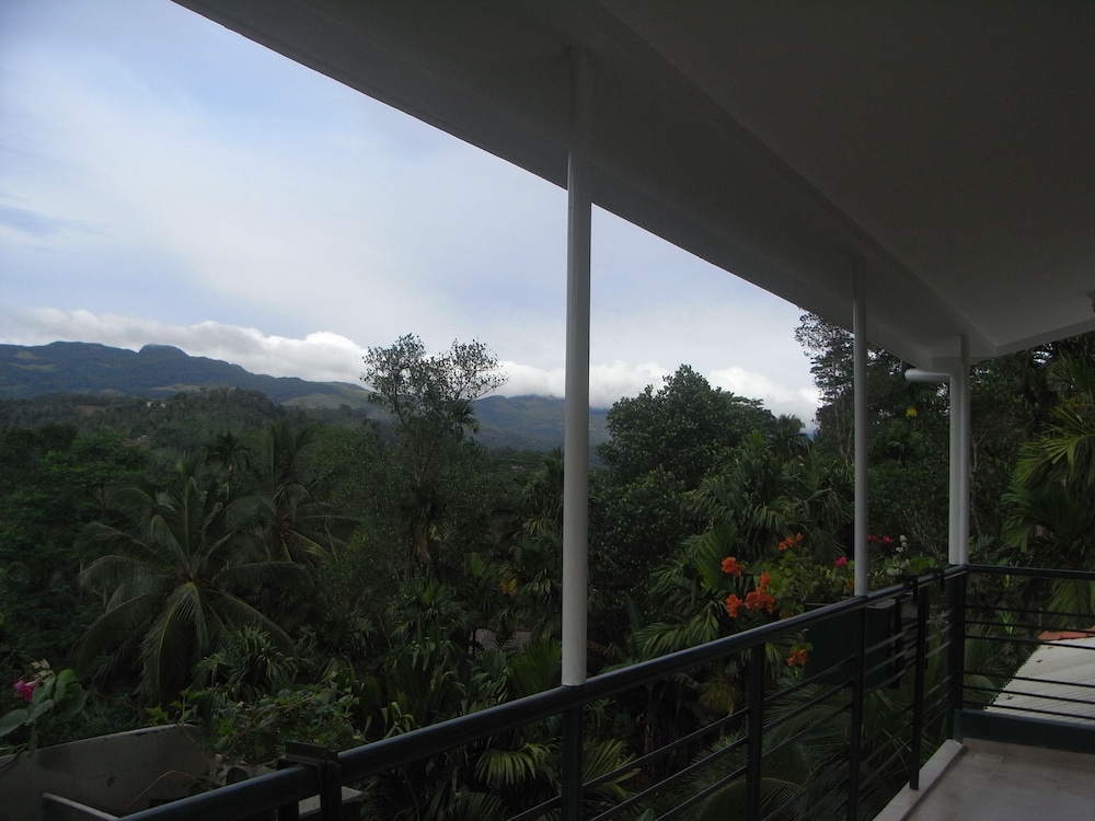Rainforest Lodge 2/50