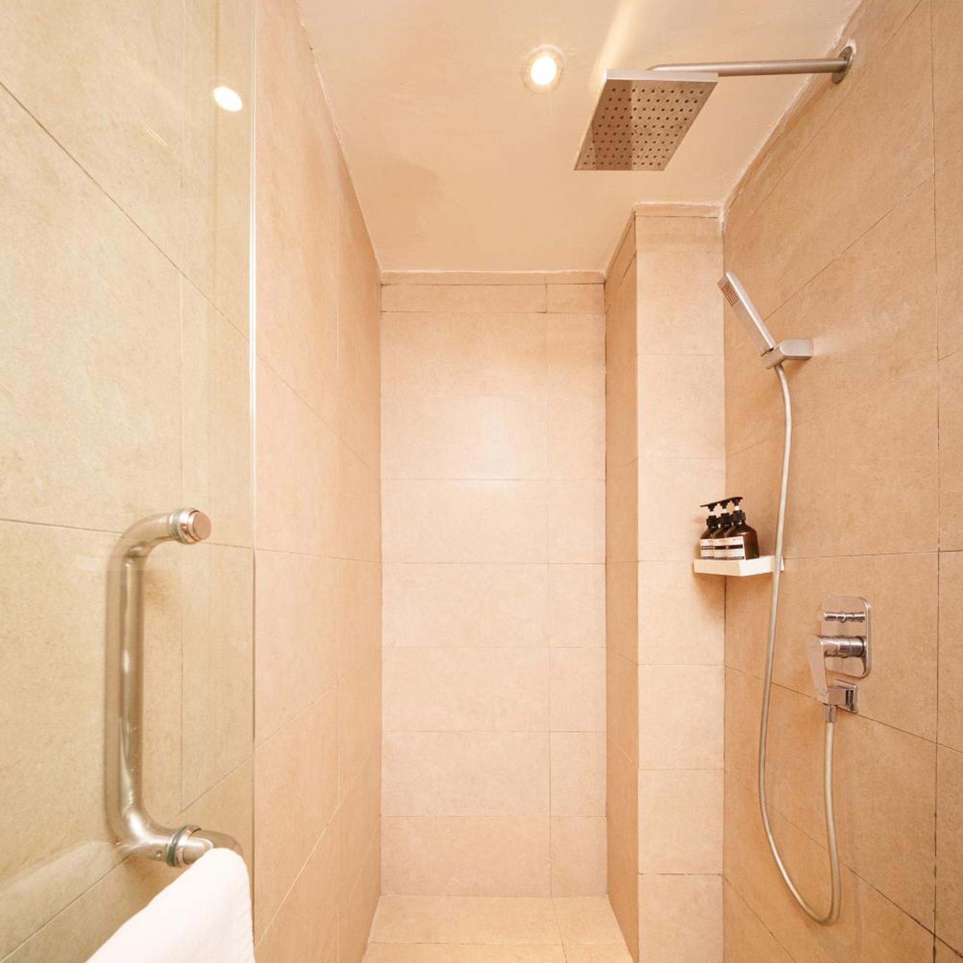 لوفت بريميير بسرير مزدوج، The Mesui Hotel 8/8