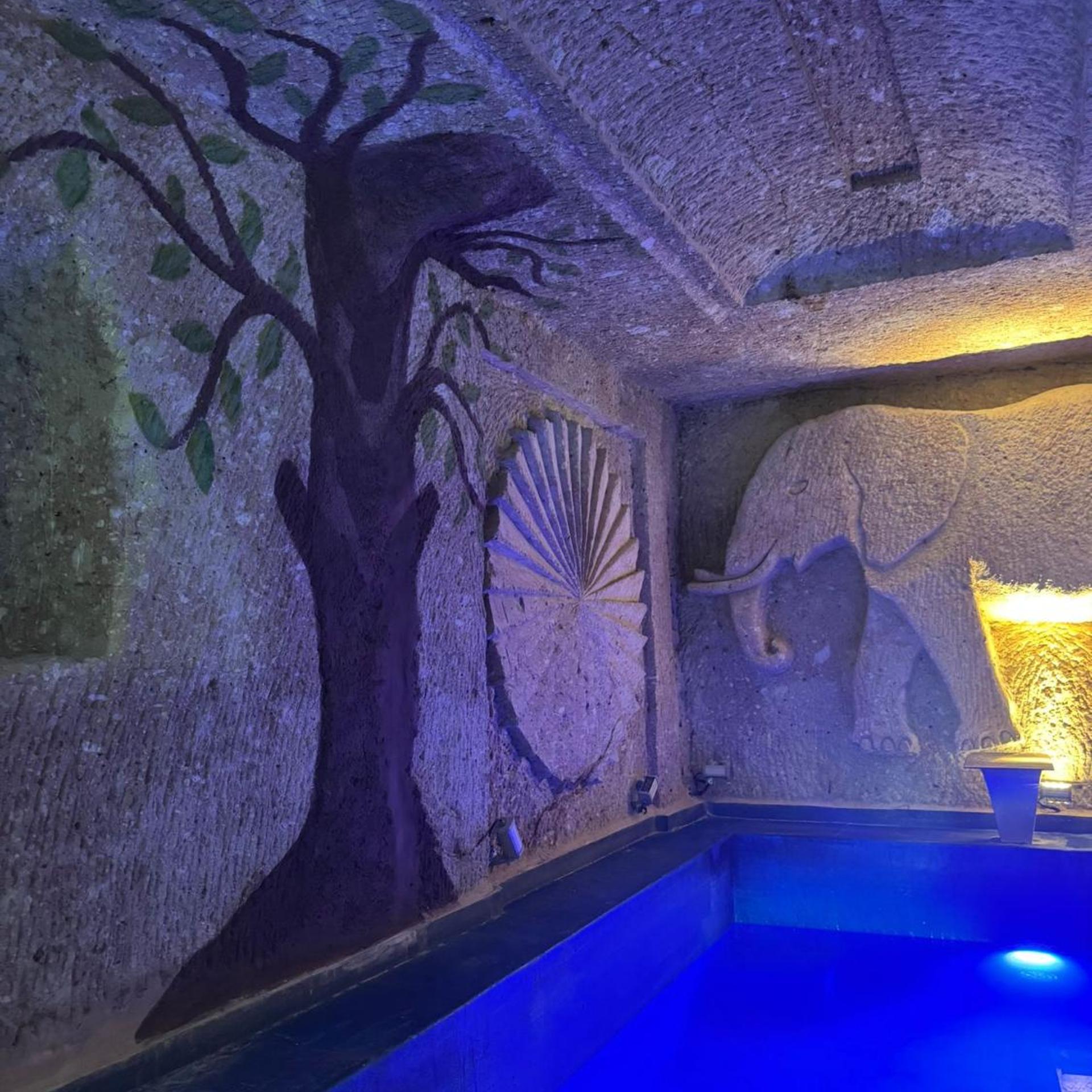 Vanessa Cave House 29/49