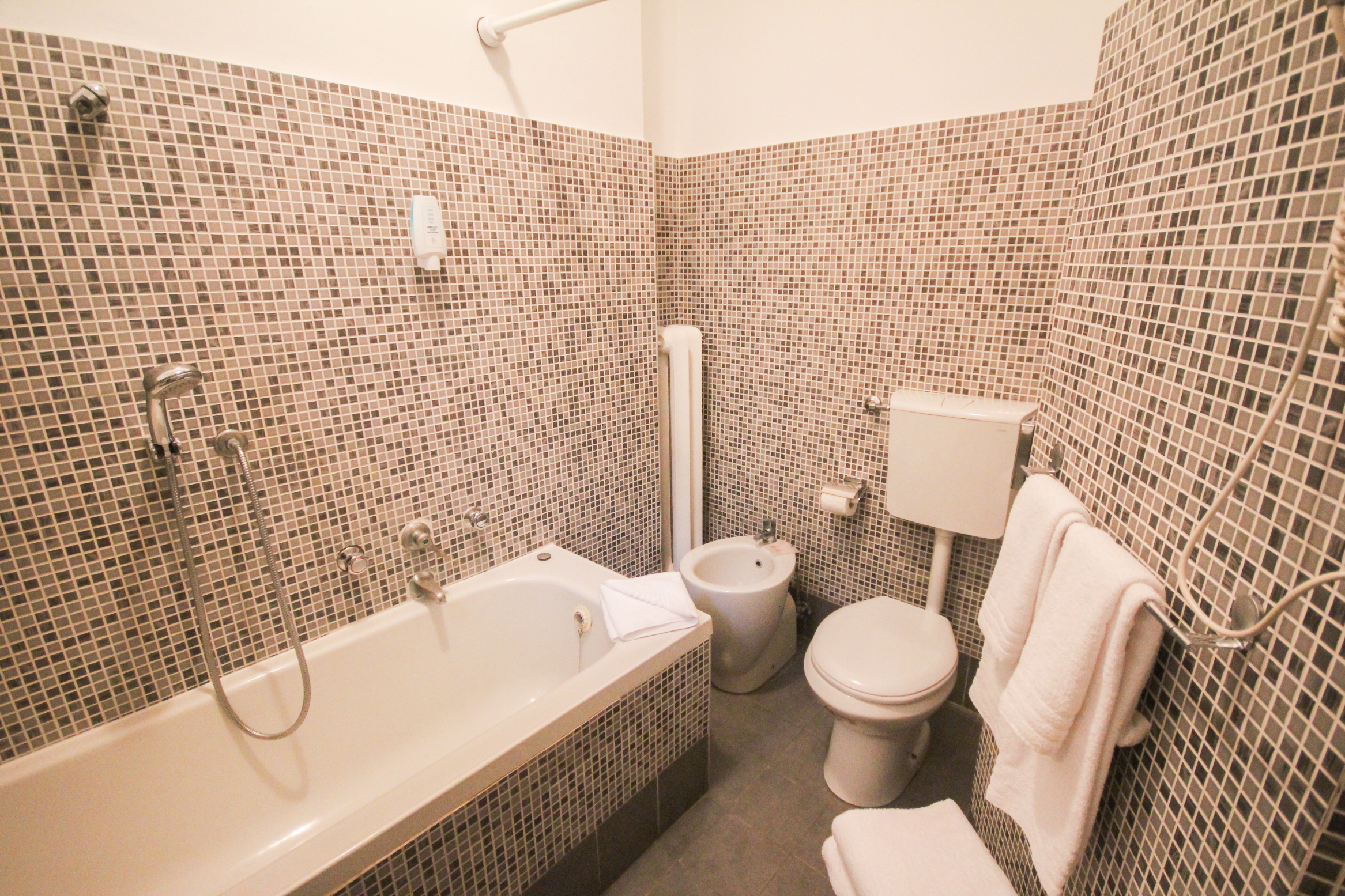 Standard, Single, Double Bed, Hotel Astoria Torino 5/5