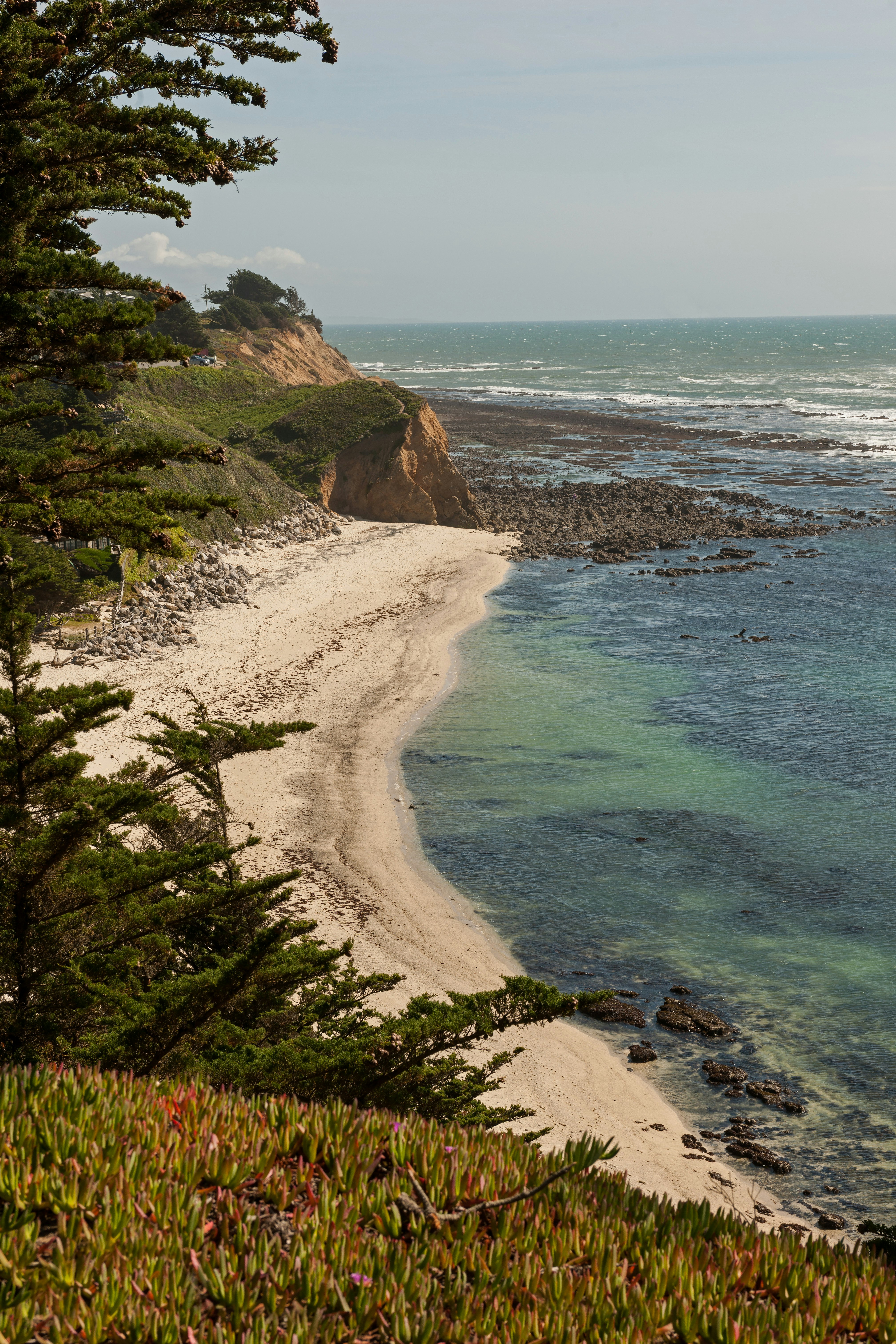 Seal Cove Inn 64/75