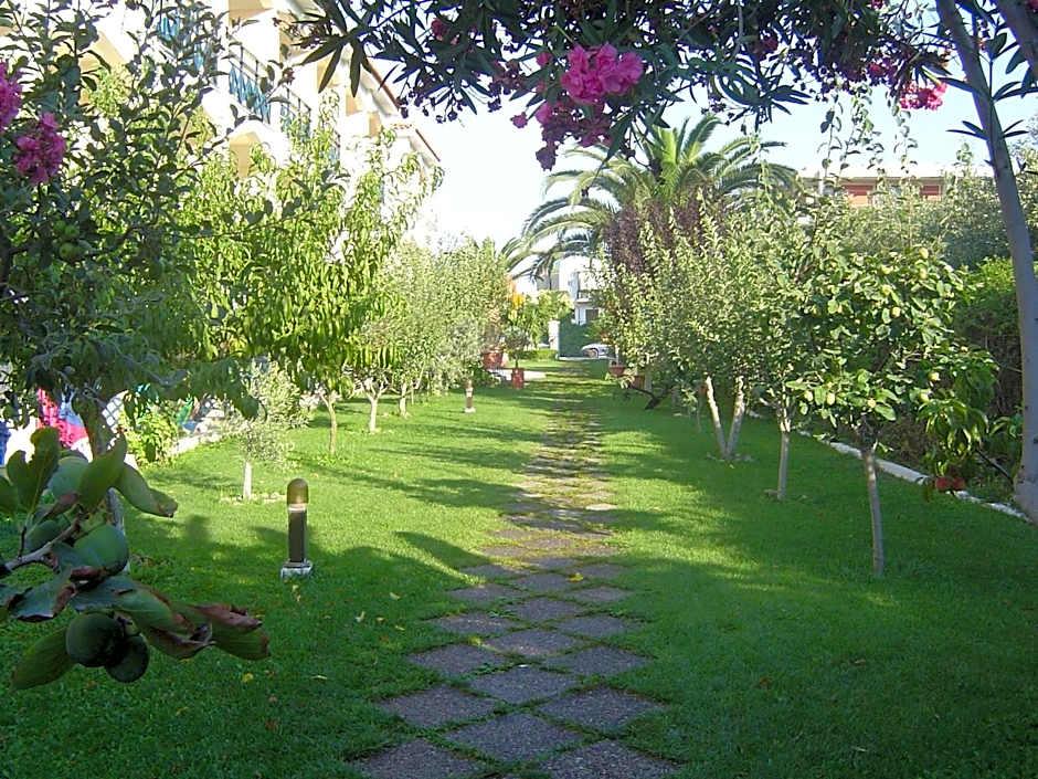 Paradise 37/50