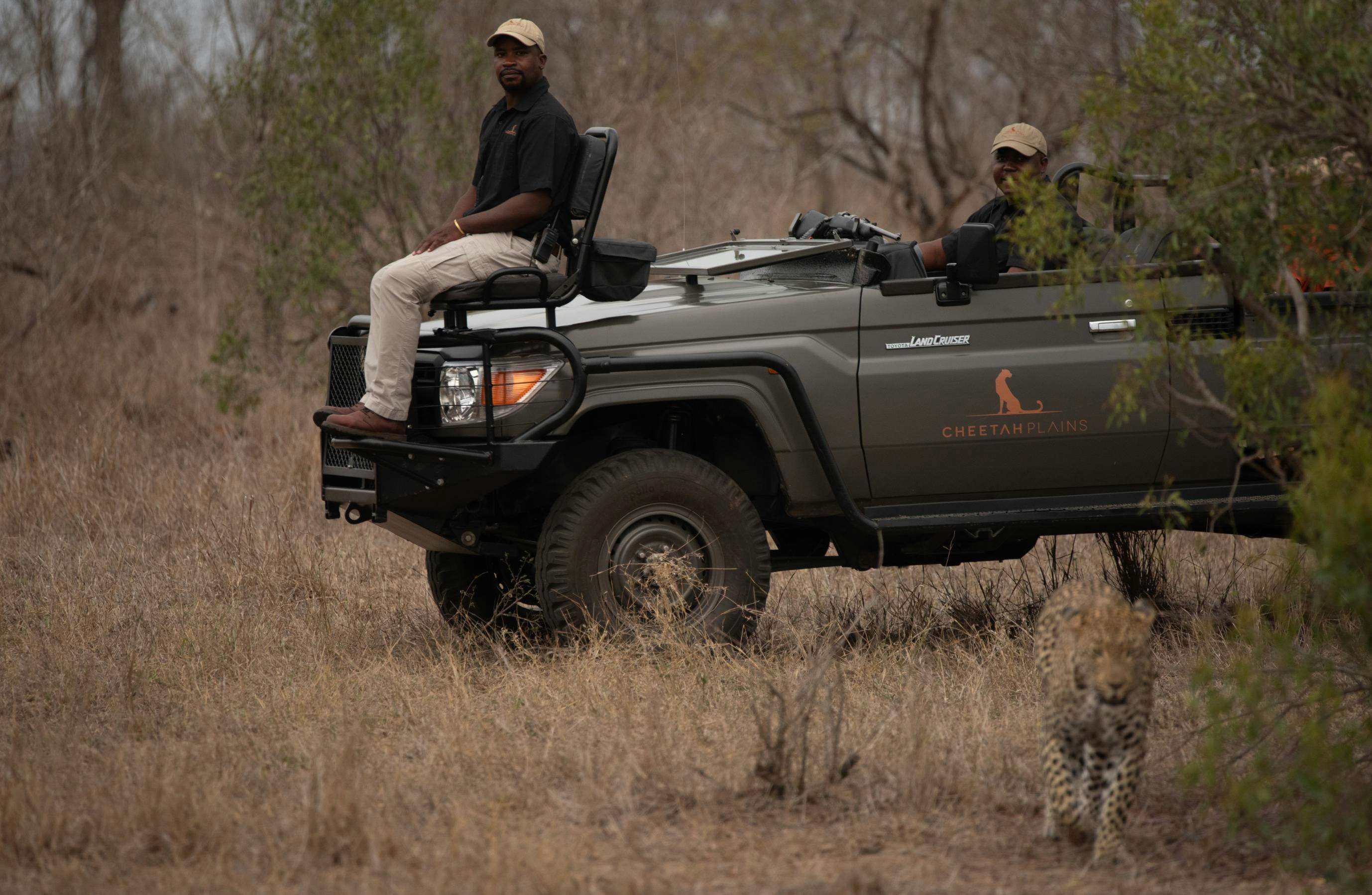 Cheetah Plains Private Game Reserve 70/96