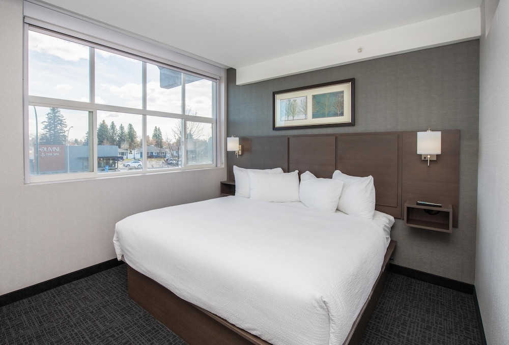Coast, Premium, Suite, King Bed