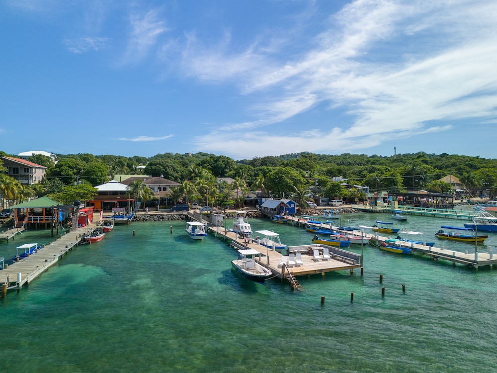 Splash Inn Dive Resort 27/38