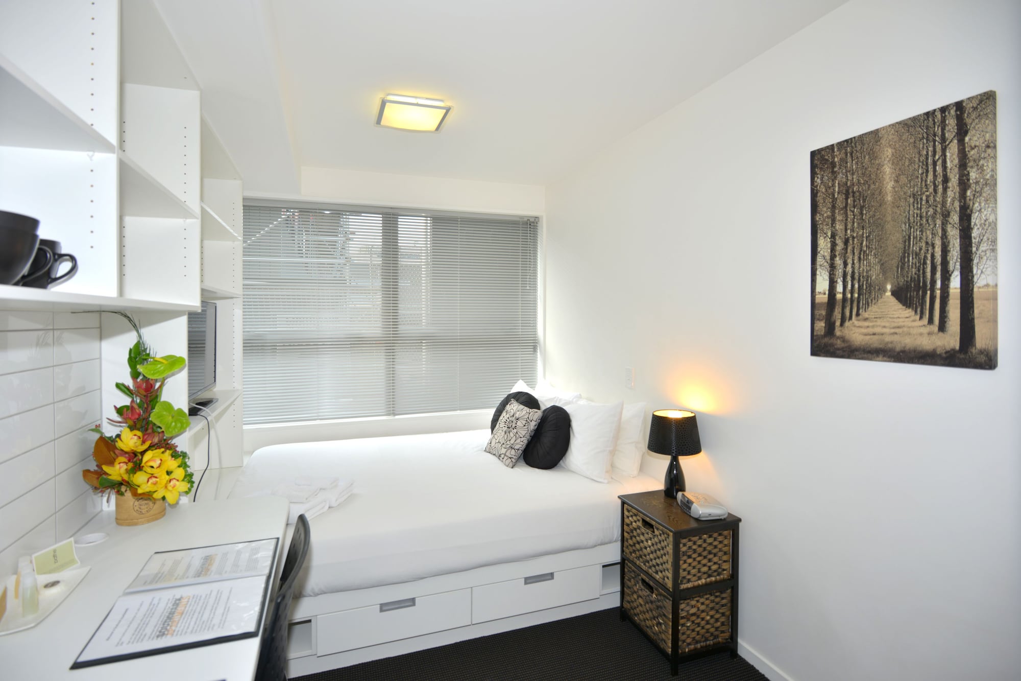COMPACT, STUDIO, DOUBLE BED