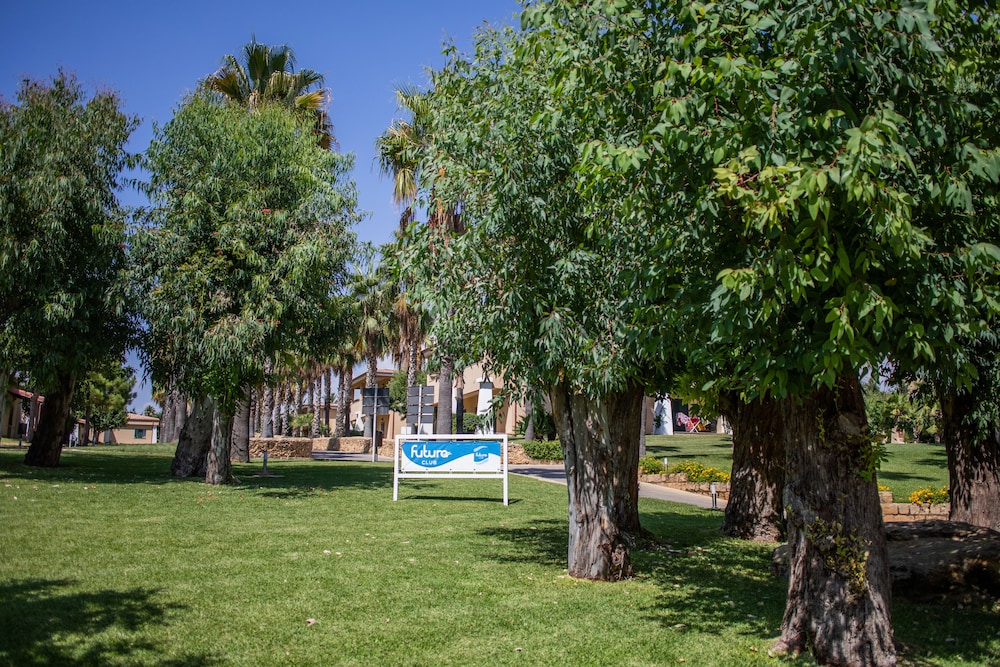 BAIA DEGLI DEI 39/50