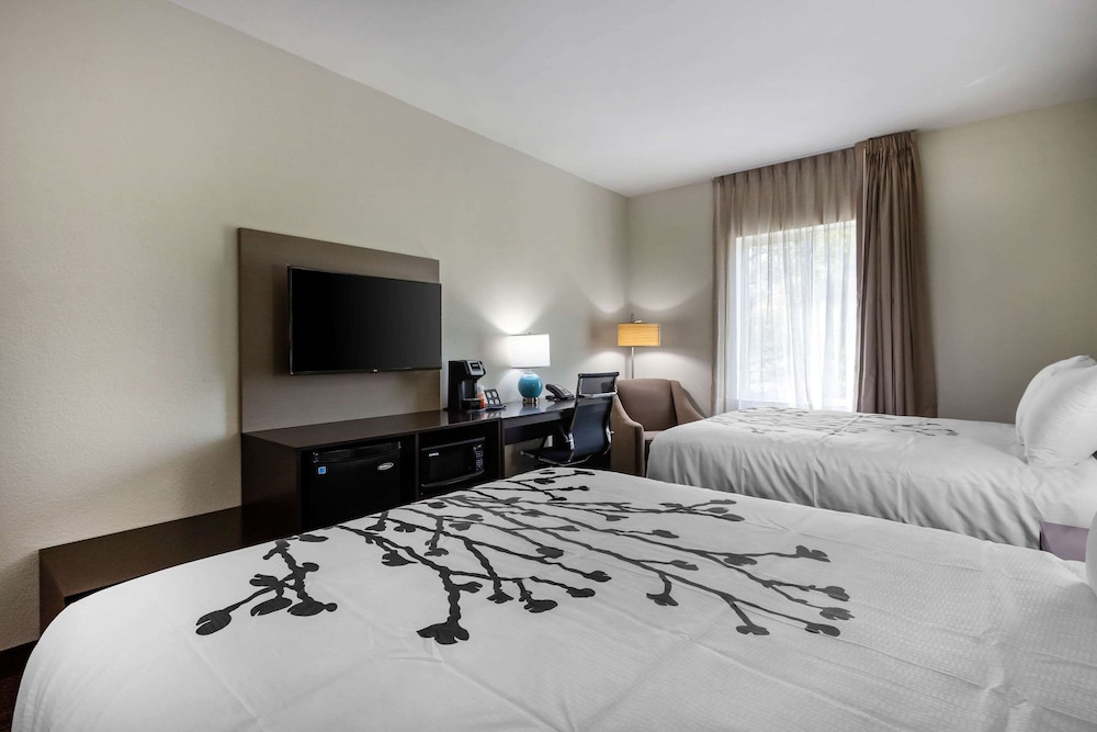Standard, 2 Queen Beds, Sleep Inn & Suites Tampa South 3/4