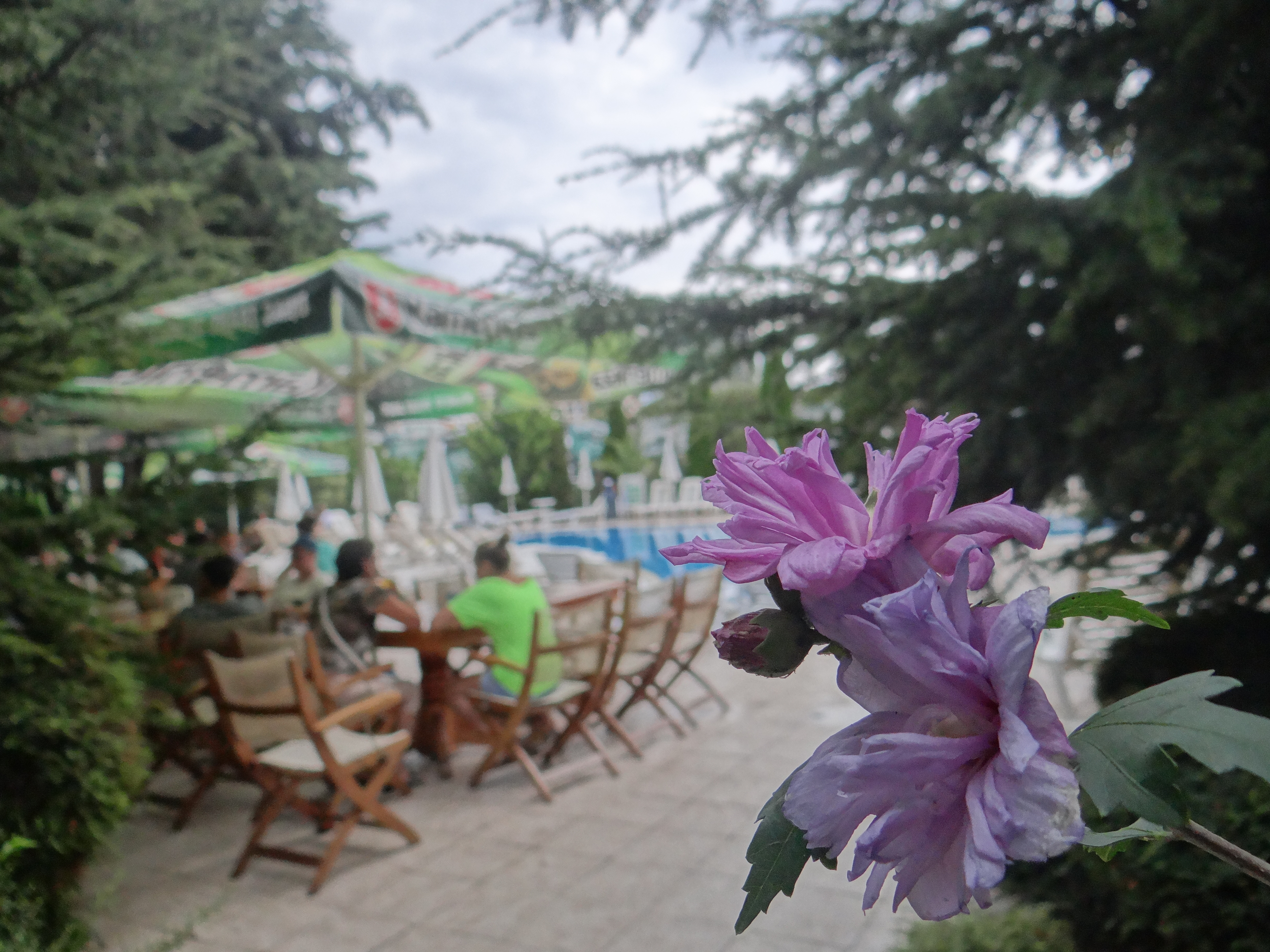 Hotel Dalis 37/40