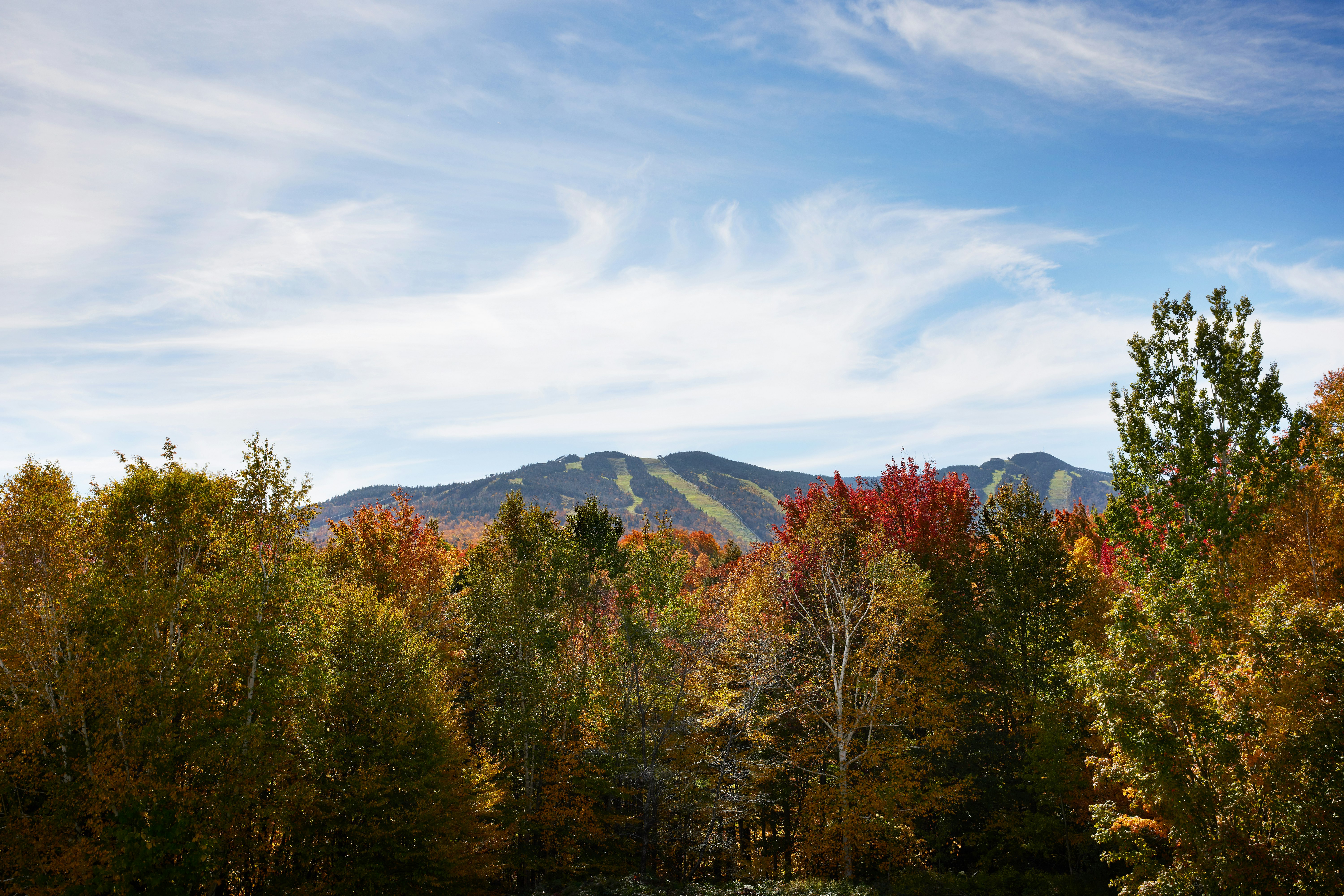 Killington Mountain Lodge, Tapestry Collection by Hilton 28/33