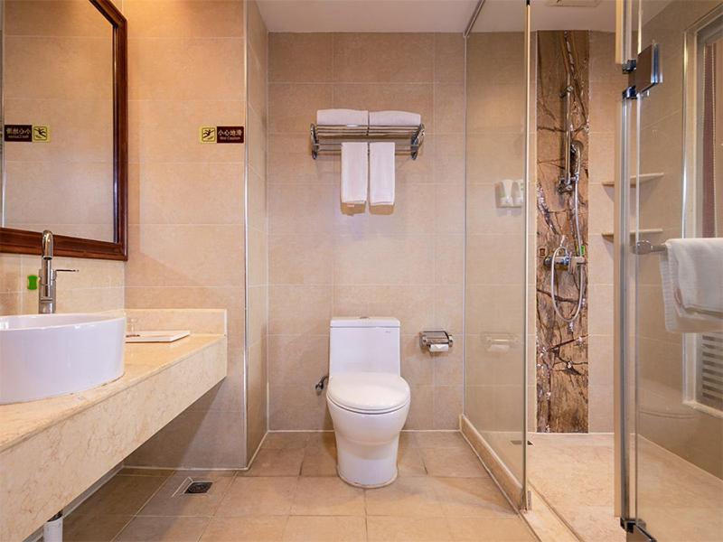 Vienna Hotel (Dongguan Houjie Wanda Plaza) 18/18