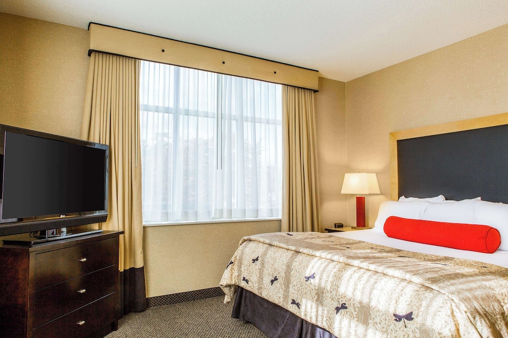 Upgrade, Suite, King Bed, Sofa, Accessible
