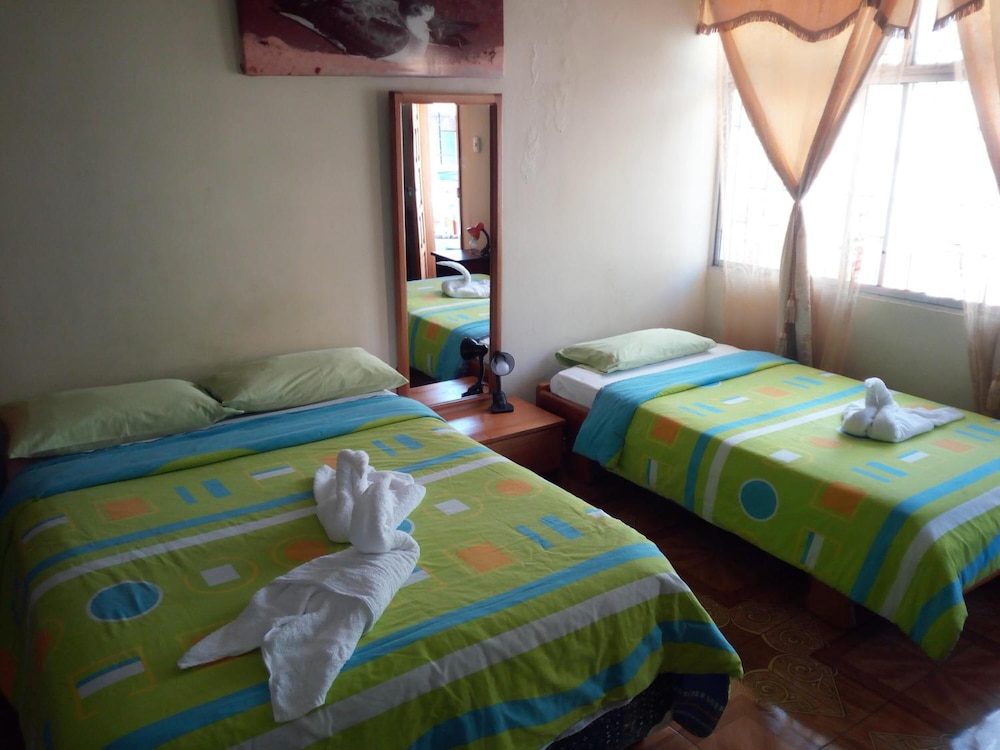 Miconia Hostal 22/49