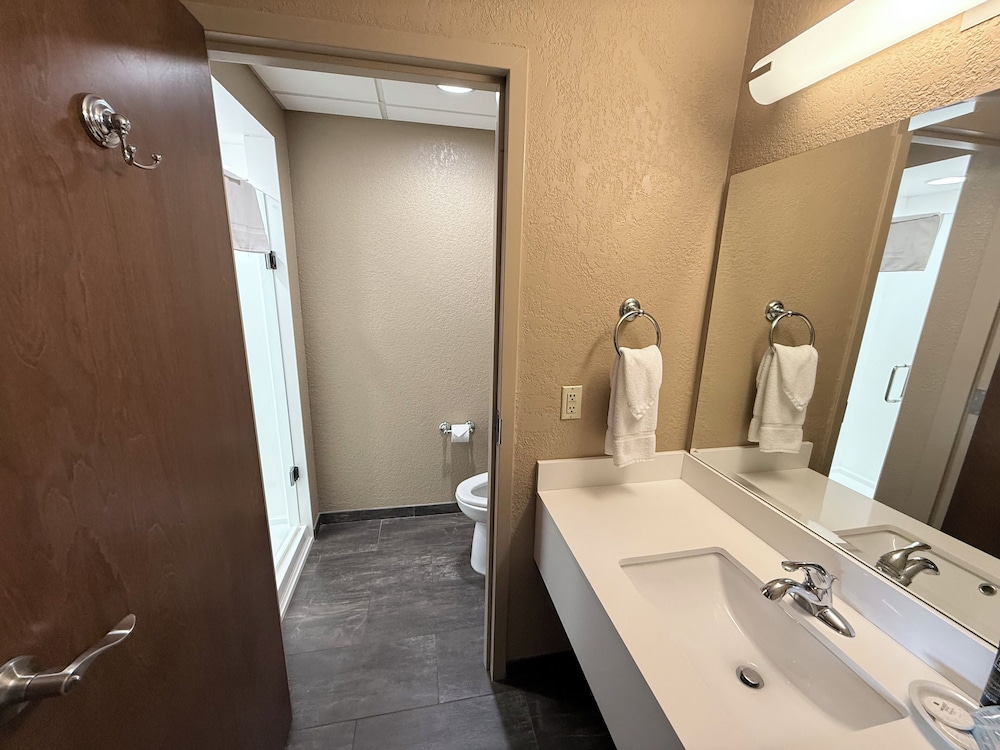 SUITE, KING BED