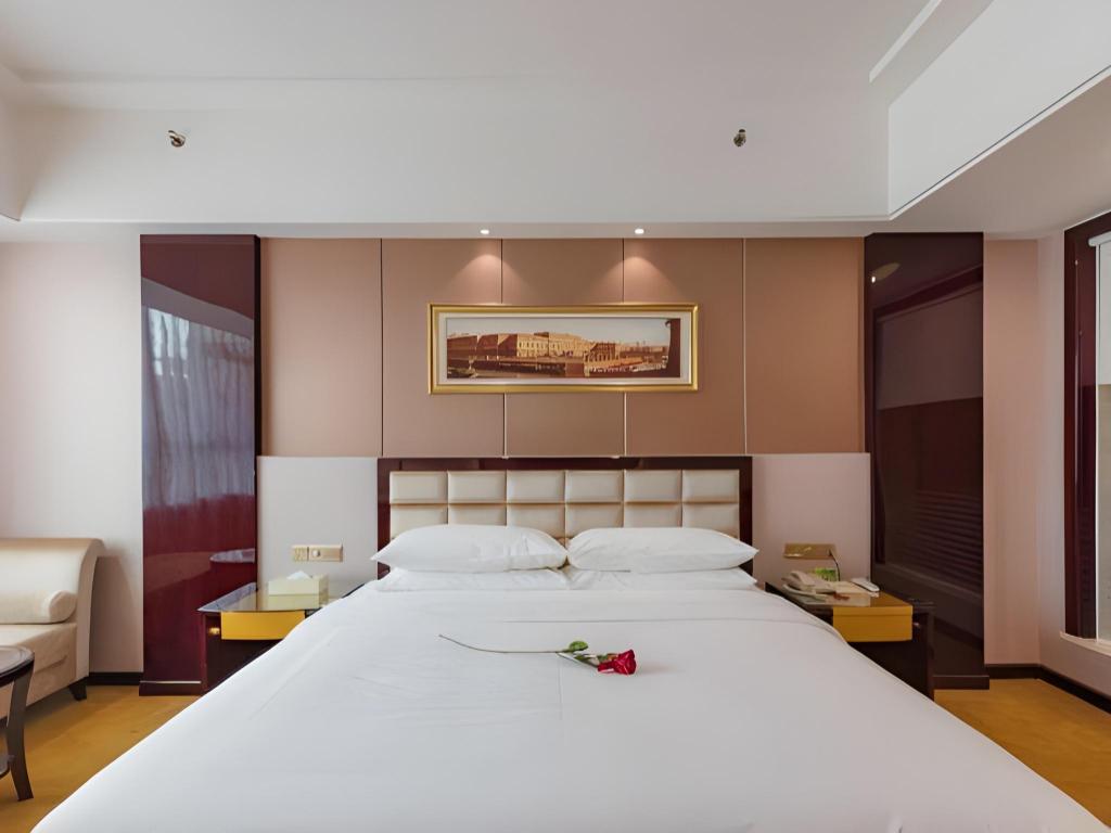 Vienna International Hotel (Zhongshan North Station) 30/57