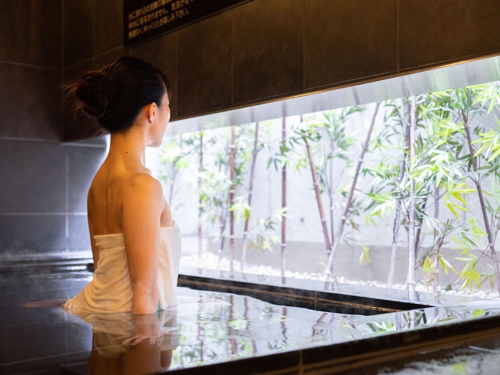 Super Hotel Shinagawa Shinbanba 28/37