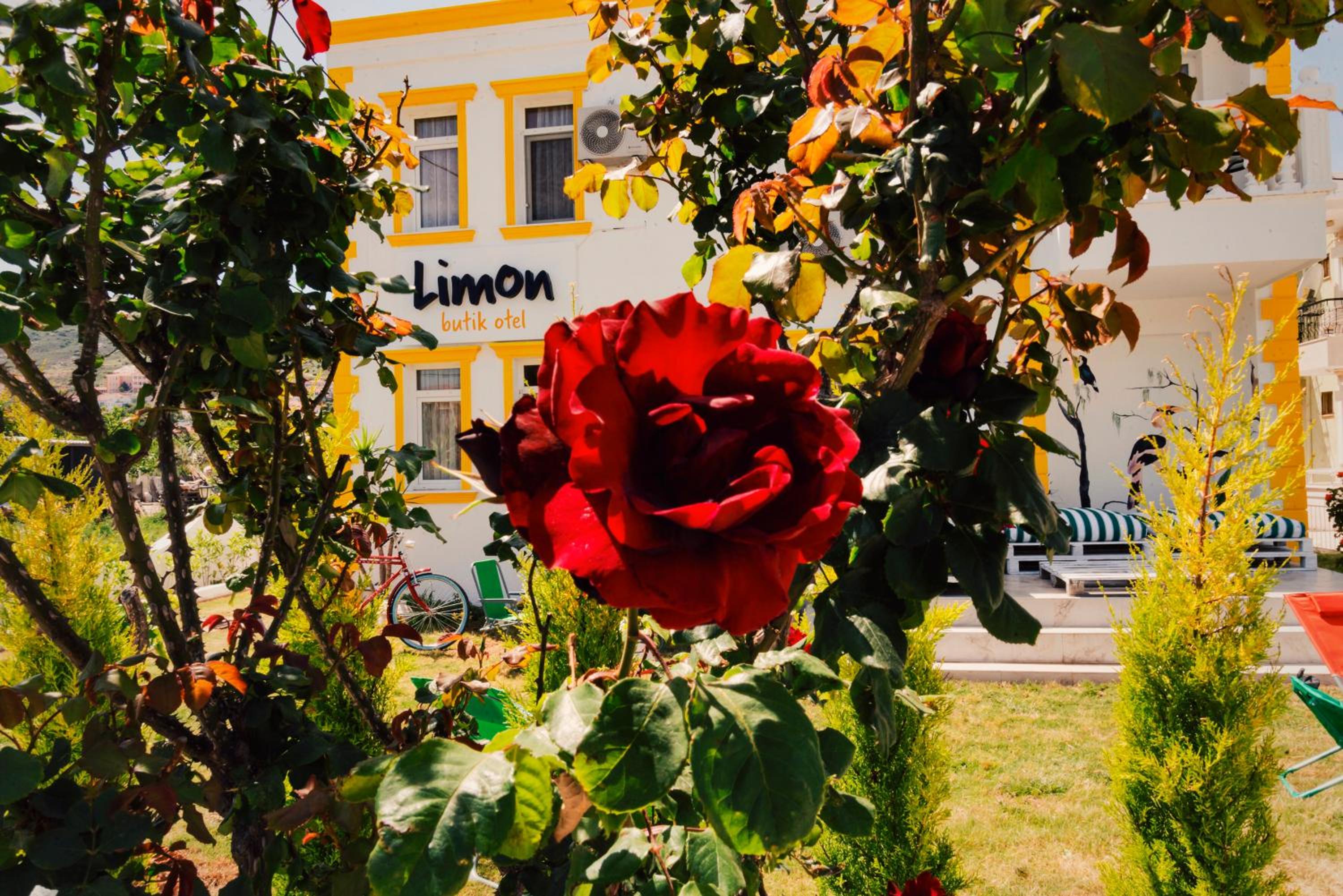 Limon Pansiyon 20/22