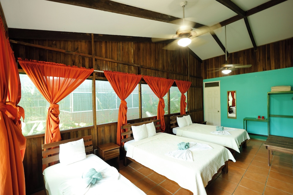 Turtle Beach Lodge 16/50