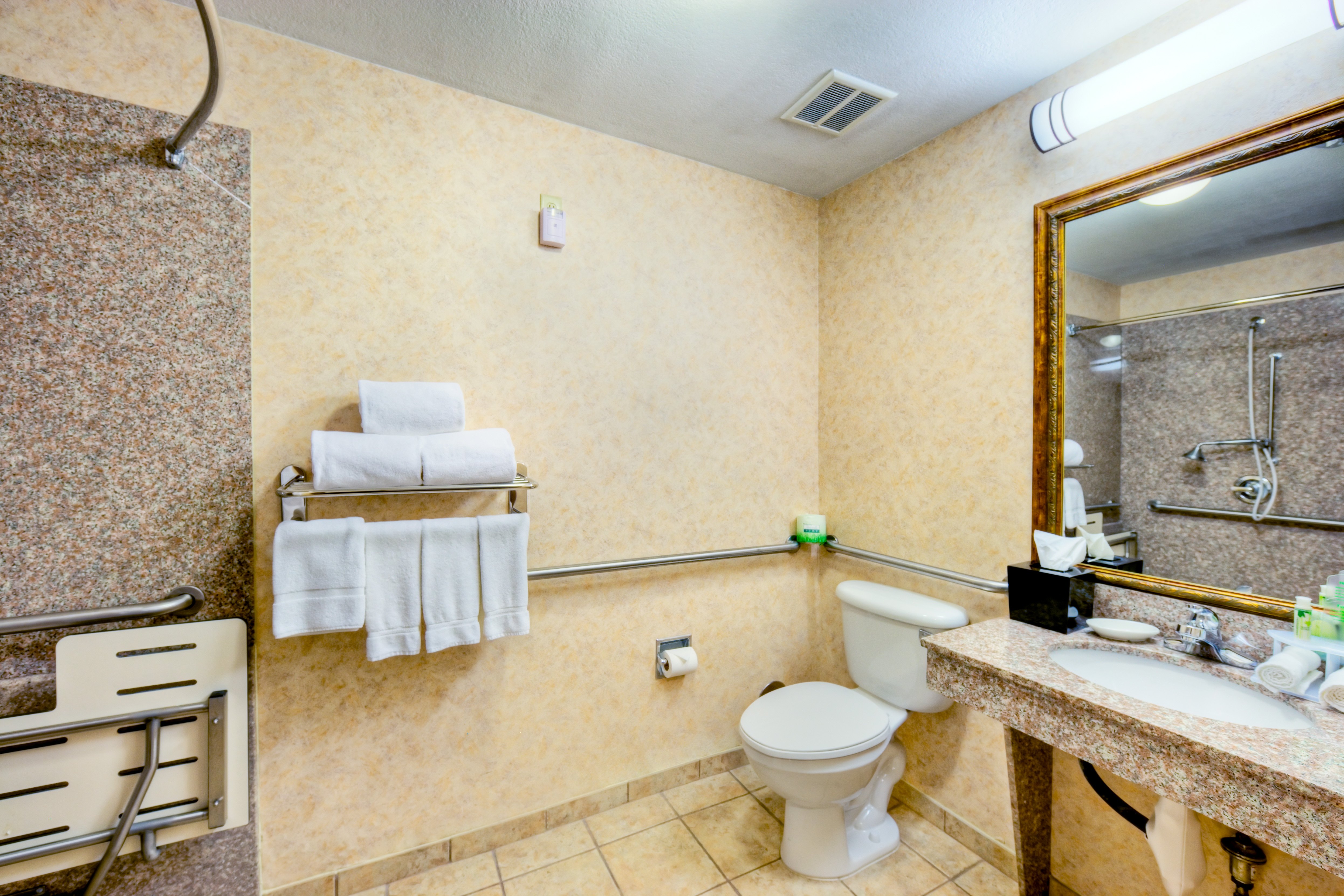 Holiday Inn Express And Suites Granbury 55/56