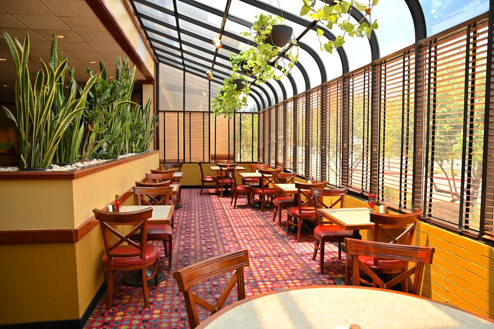 restaurant cafeteria