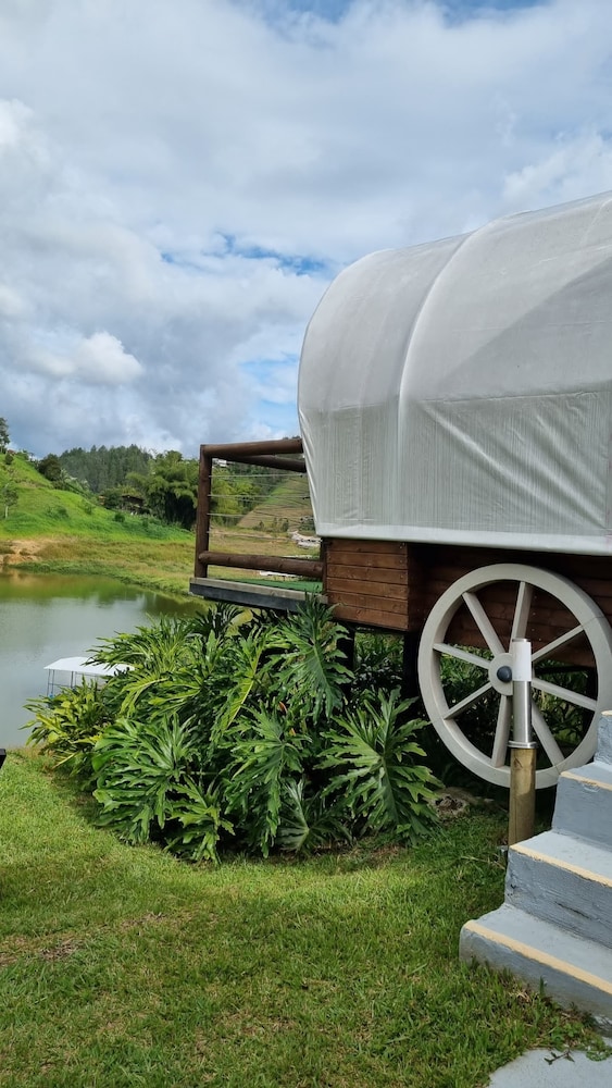 Glamping La Cepa 46/57