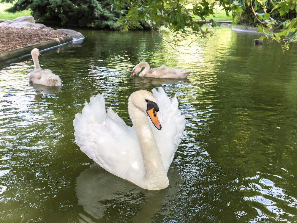 Ibis Budget Angers Parc Des Expositions 44/48