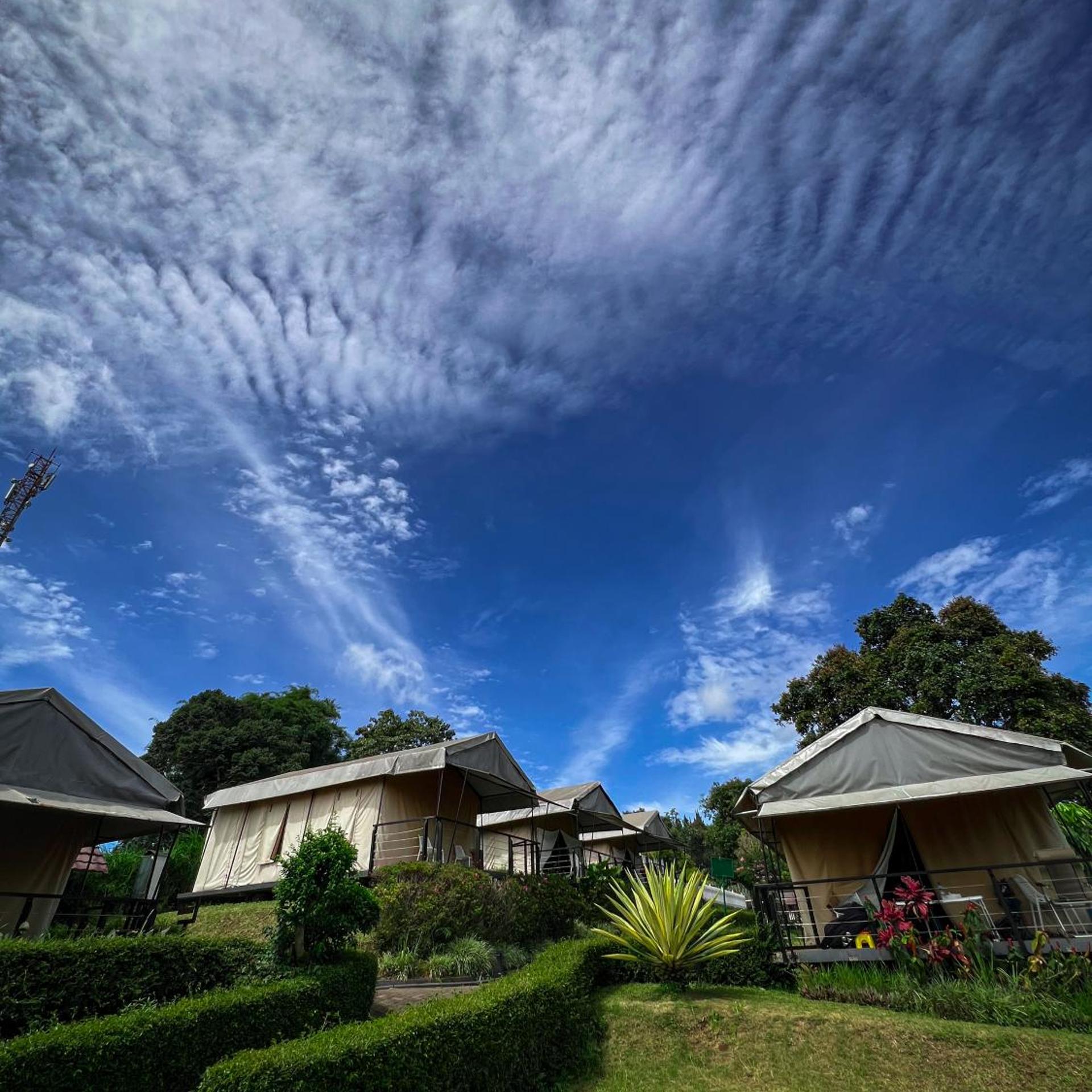 Trizara Resorts Glamping 8/59