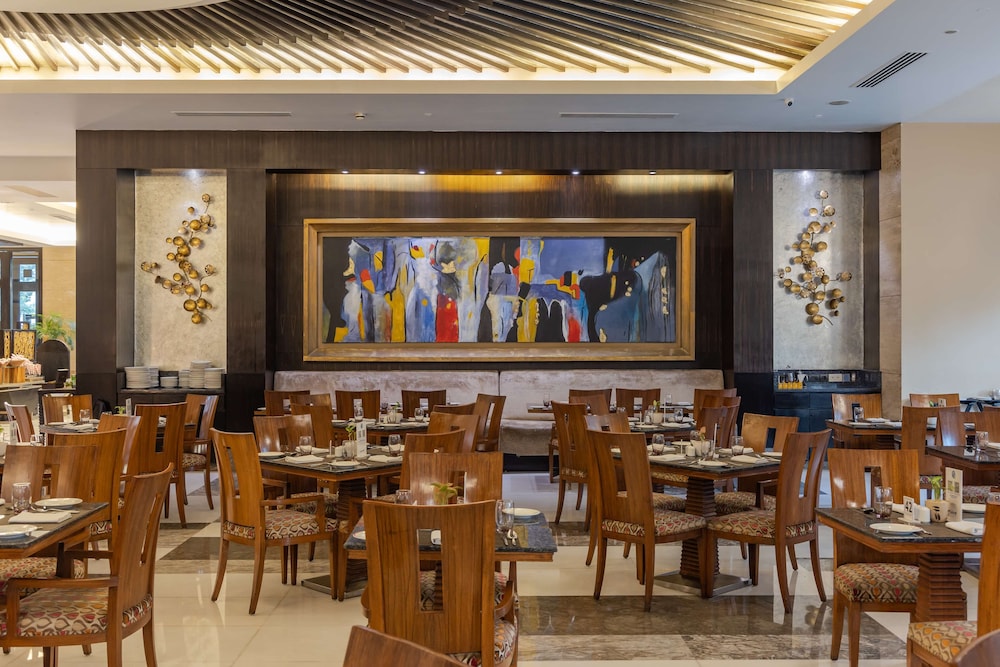 Radisson Blu Hotel Indore 33/50