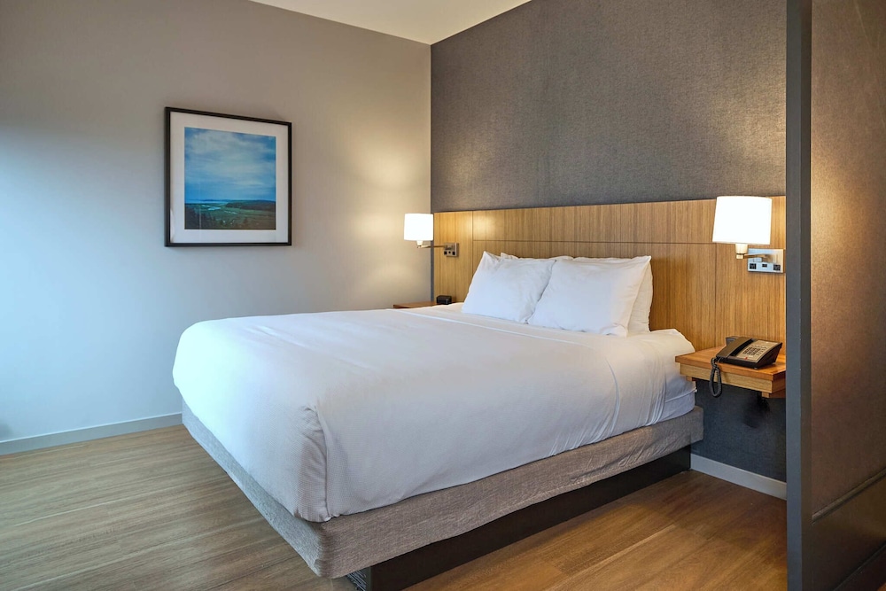 Room, King Bed, Sofa, High Floor
