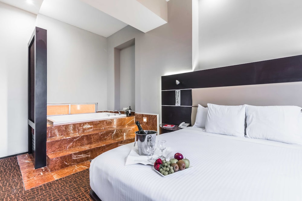 Exe Cities Reforma Ex Nyt Roma Boutique Reforma 14/62