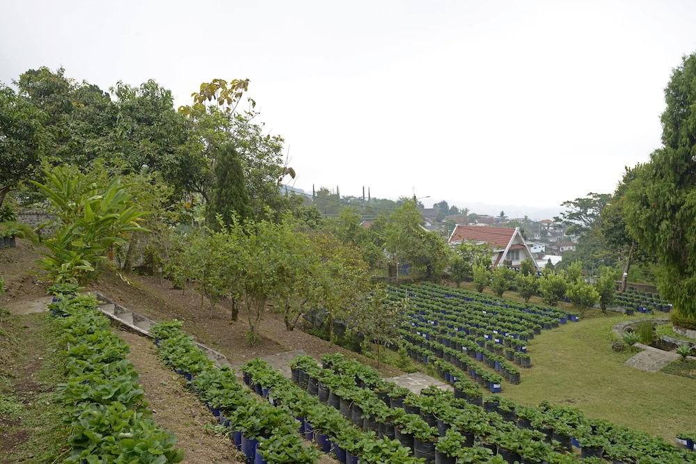 Surya Hotel Cottages Prigen 39/52