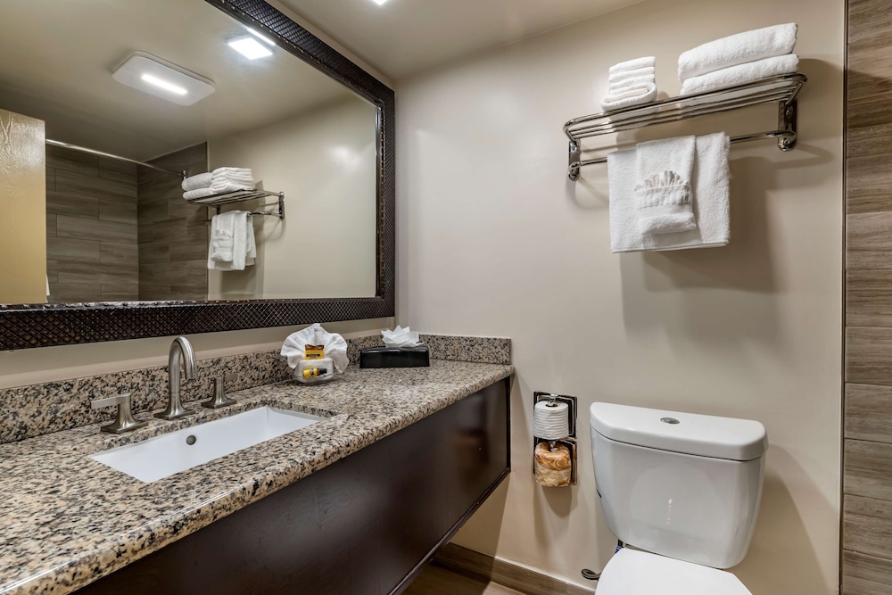 Best Western Plus South Bay Hotel 19/36