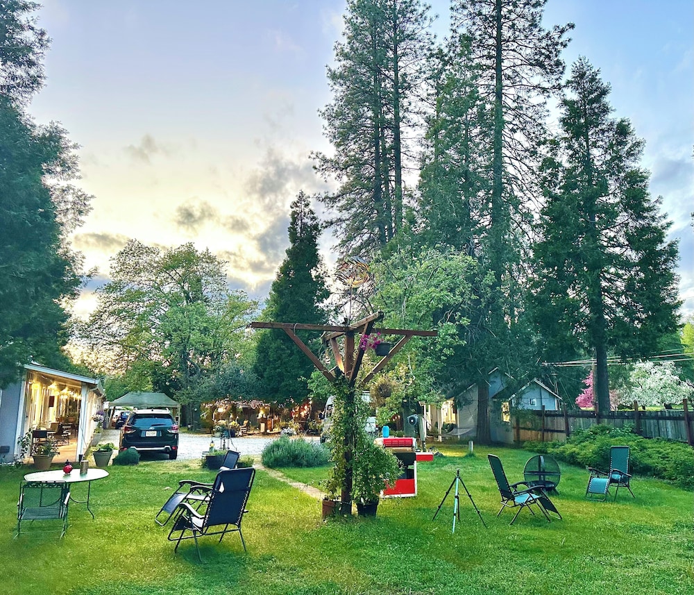 The Pines Motel and Cottages 62/73
