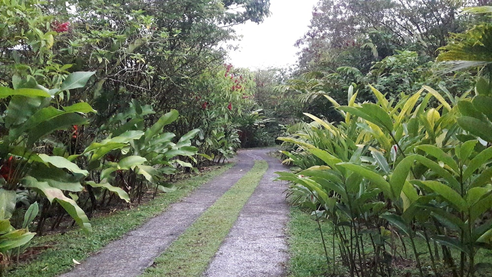 Rancho Margot 29/49