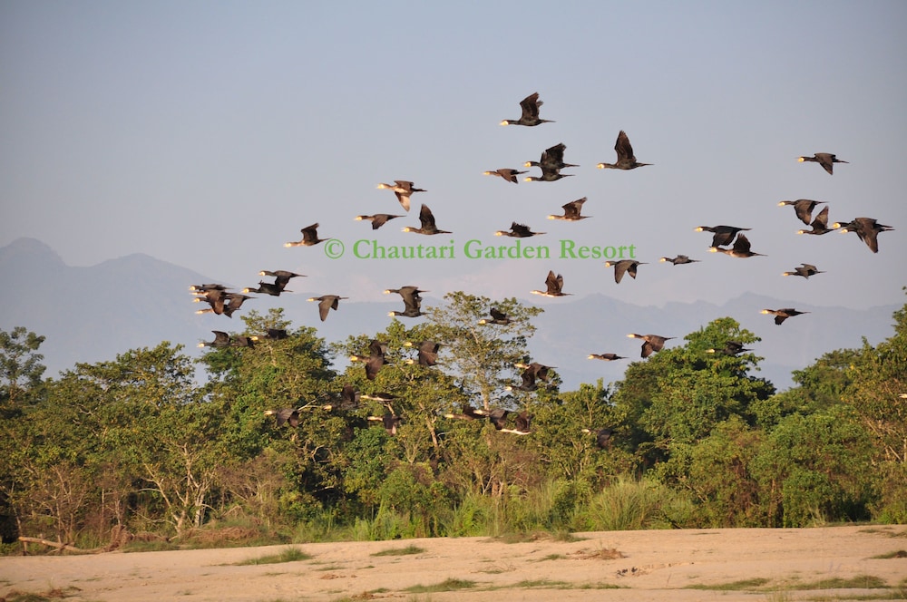 Chautari Garden Resort 39/62