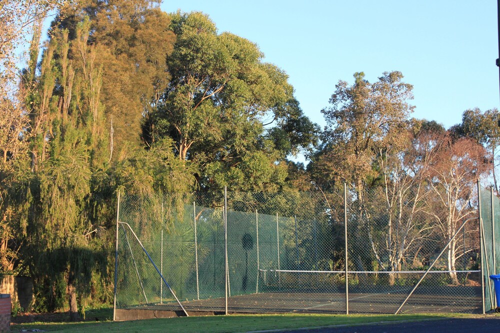 Mt Gambier International 12/18