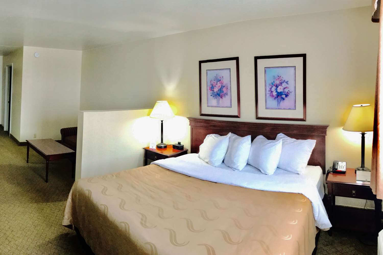 Efficiency, King Bed