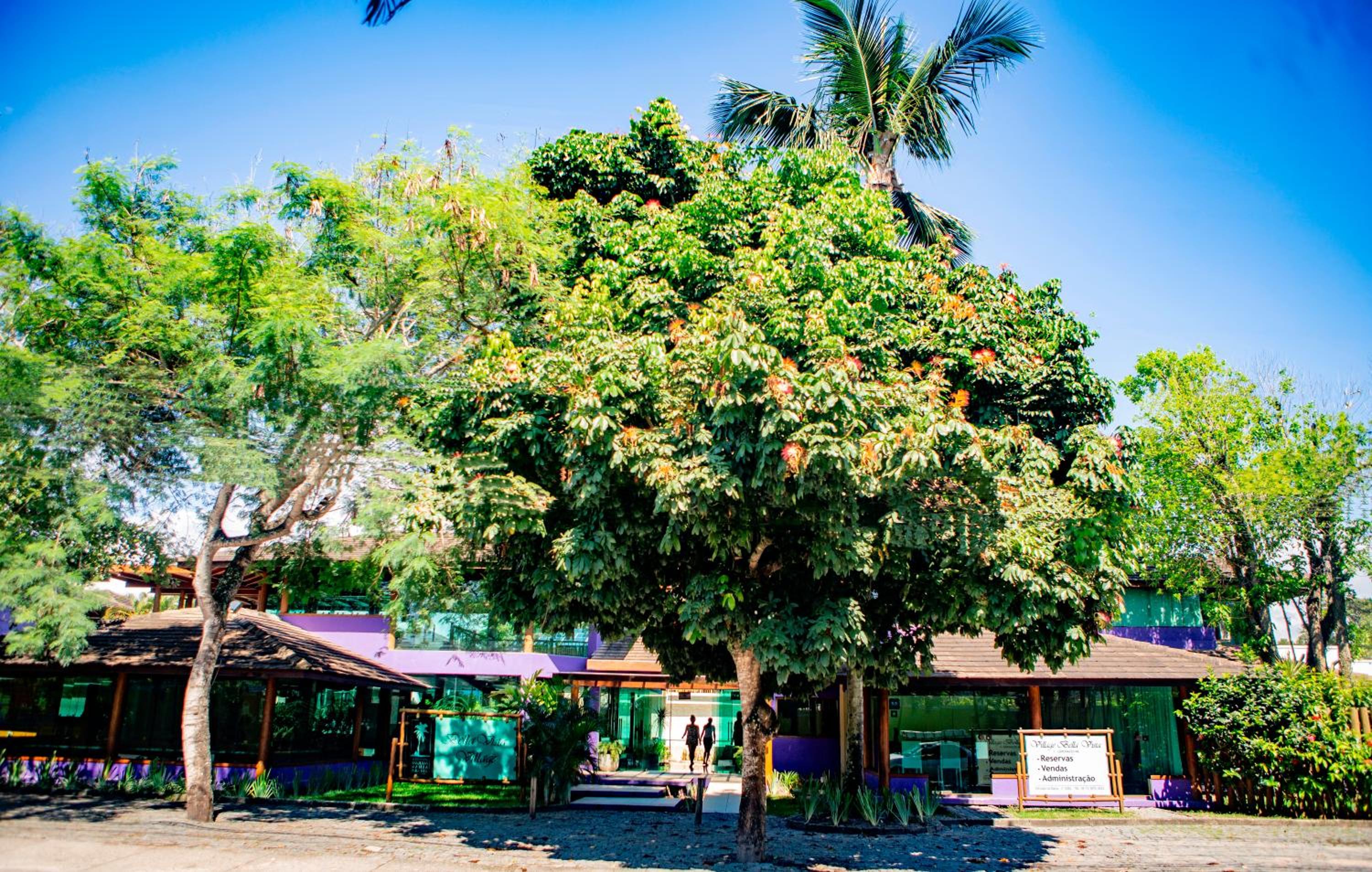 Bella Vista Village 33/50