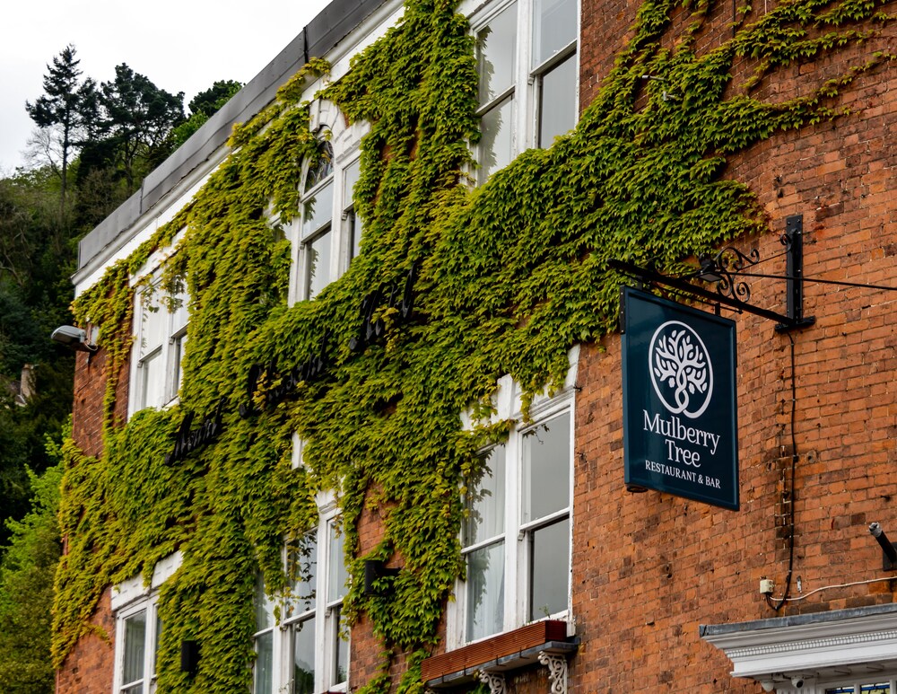 The Mount Pleasant Hotel 6/50