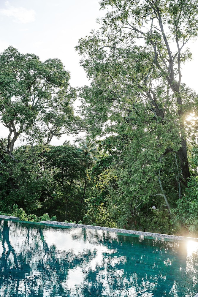 Treeline Urban Resort 42/48